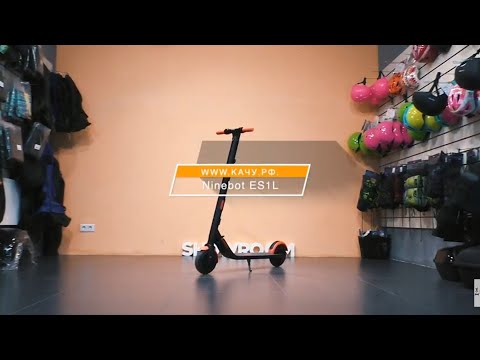 Электросамокат Ninebot ES1L, самый бюджетный из линейки Ninebot для взрослых